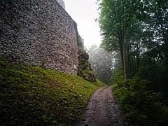 Rezerwat przyrody Góra Zamkowa